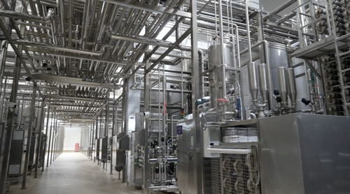 消費品制造業(yè)高質(zhì)量發(fā)展調(diào)研行 探訪蒙牛 零碳 工廠 尋找生產(chǎn)車間里的 綠色密碼